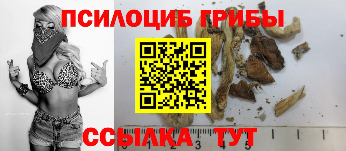 Псилоцибиновые грибы Magic Shrooms Елец